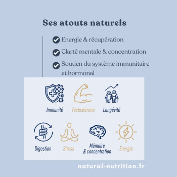 Resine de Shilajit pure 70 % acide fulvique – Vitalite & Energie | Nat