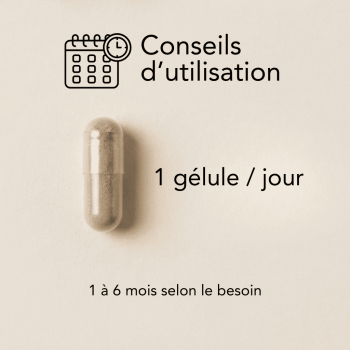 Thermomincyl Gélules Bio | Minceur & bien-être | Natural Nutrition