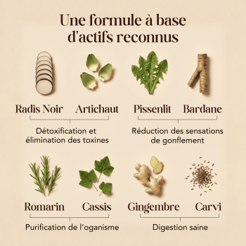 Draitox Bio, solution buvable pour le drainage des toxines