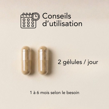 Neojuv Expert 300, complément alimentaire booster jeunesse cellulaire