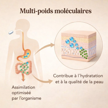 Neojuv Expert 300, complément alimentaire booster jeunesse cellulaire