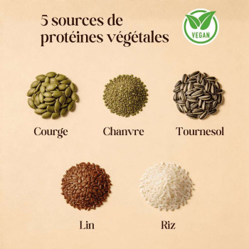 Absolute Protein Bio, poudre de protéines végétales