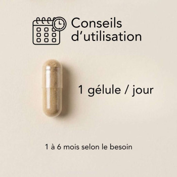 Thermomincyl Gélules Bio | Minceur & bien-être | Natural Nutrition