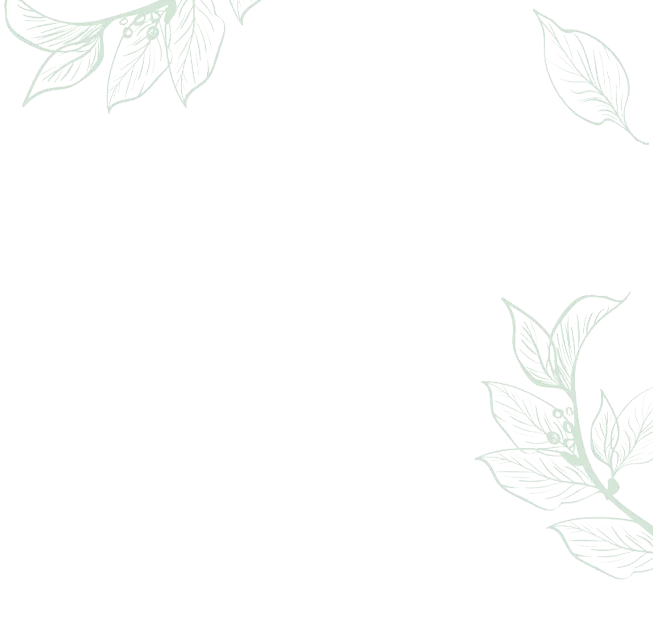 Modèle 1A Slide background