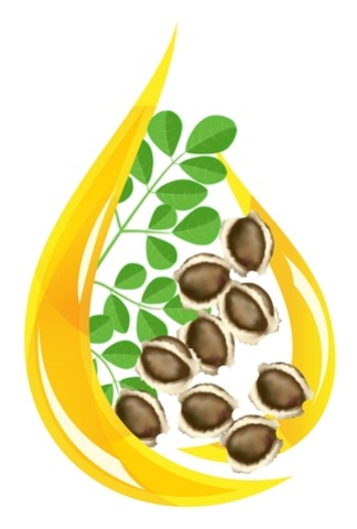 Huile de Moringa, des bienfaits variés