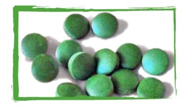 Quels sont les critères pour bien choisir sa spiruline ?