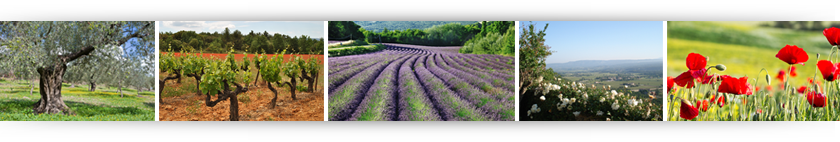 natural nutrition laboratoire complément alimentaire en Provence